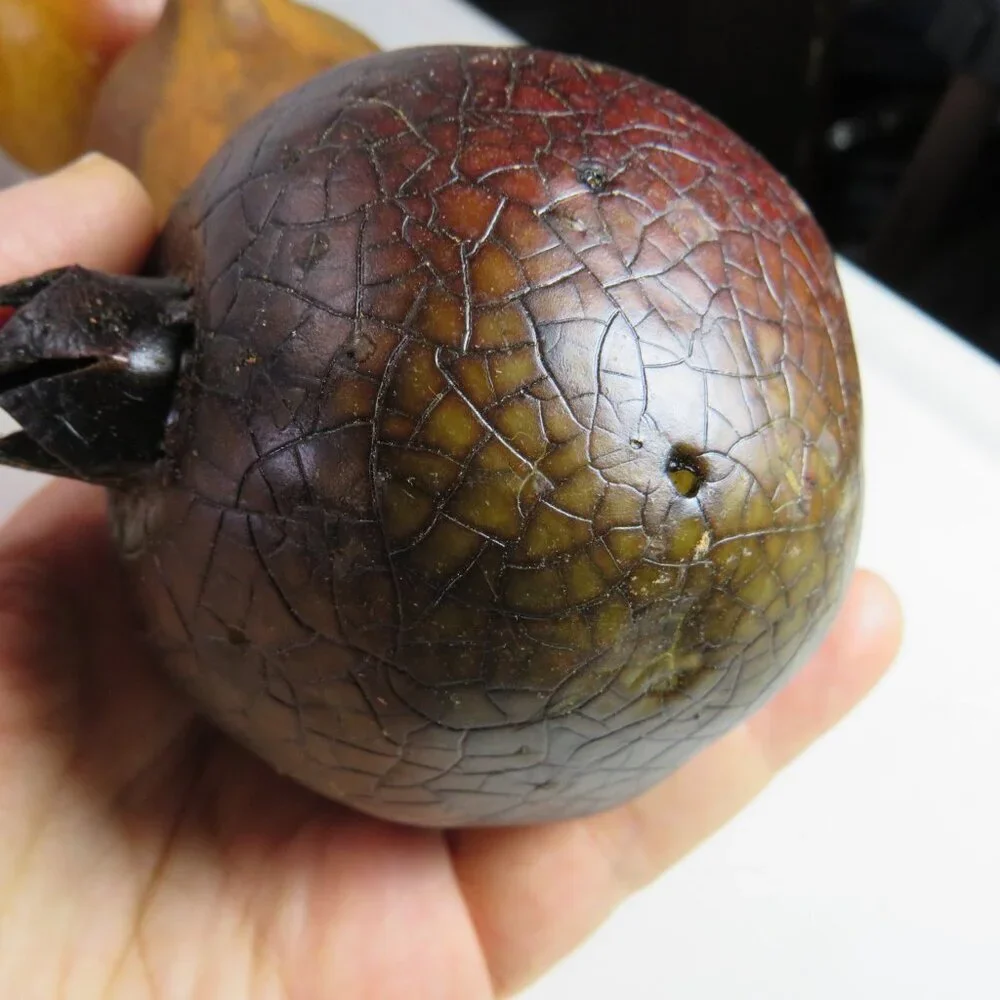 N/A vintage fruit